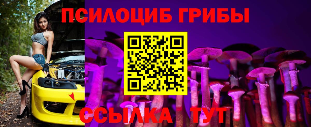 Галлюциногенные грибы Magic Shrooms Таганрог
