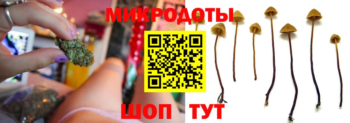 Галлюциногенные грибы MAGIC MUSHROOMS  Галлюциногенные грибы Psilocybine cubensis  Таганрог  цены   Вход с VPN 